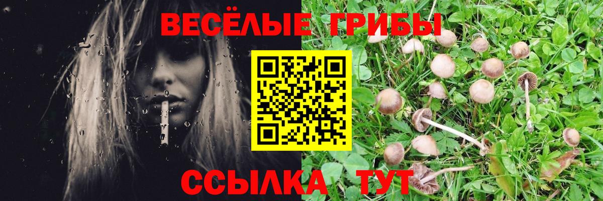 Галлюциногенные грибы Cubensis  дарнет шоп  Курск  Вход с VPN 